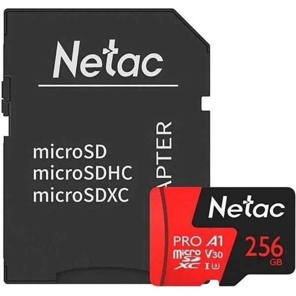 Memory card Netac Extreme Pro P500 256 GB.