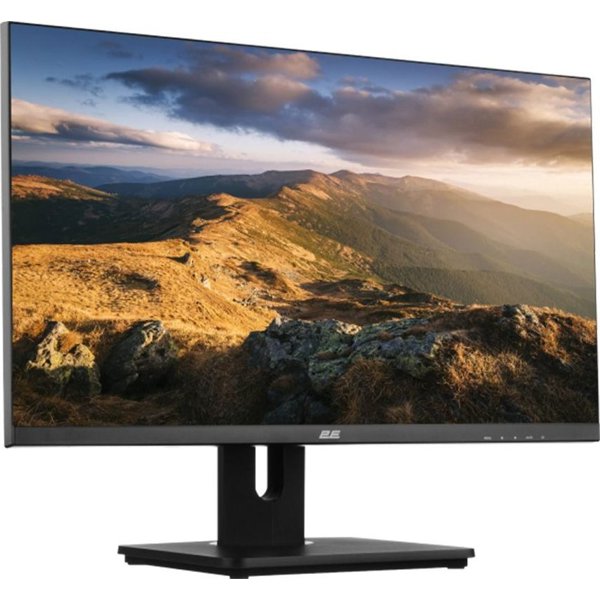 Monitor 2E G2422B