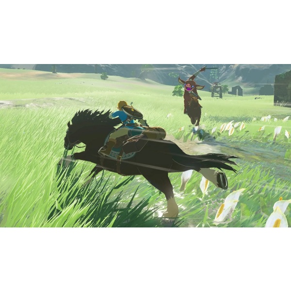 Game from Nintendo  The Legend of Zelda: Breath of the Wild Nintendo Switch