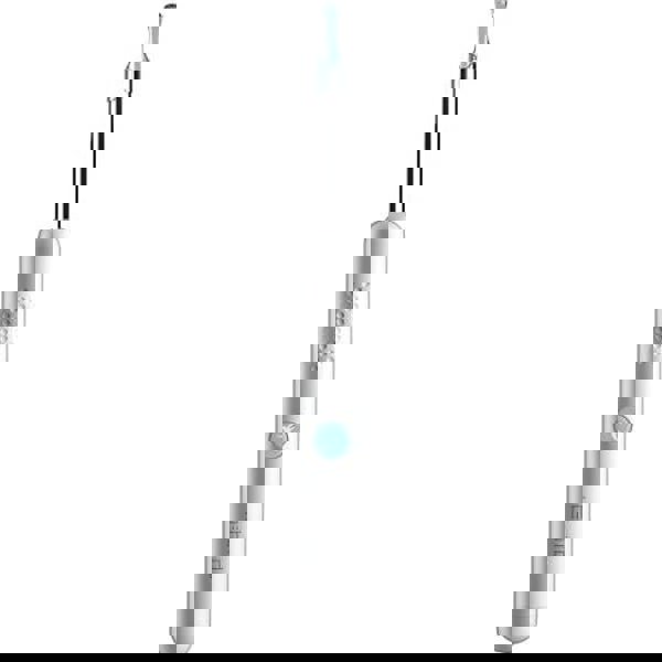 Smart ear stick (endoscope) Bebird Smart Visual Spoon Ear Stick R1 (с камерой) White